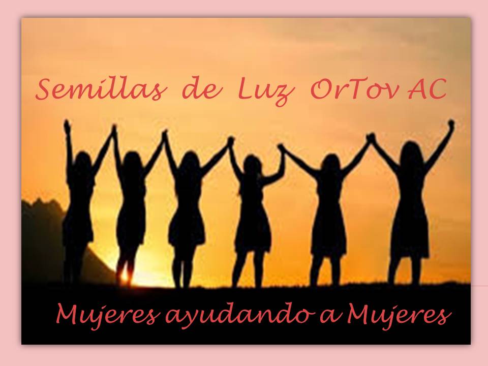 Semillas-de-luz-ortov